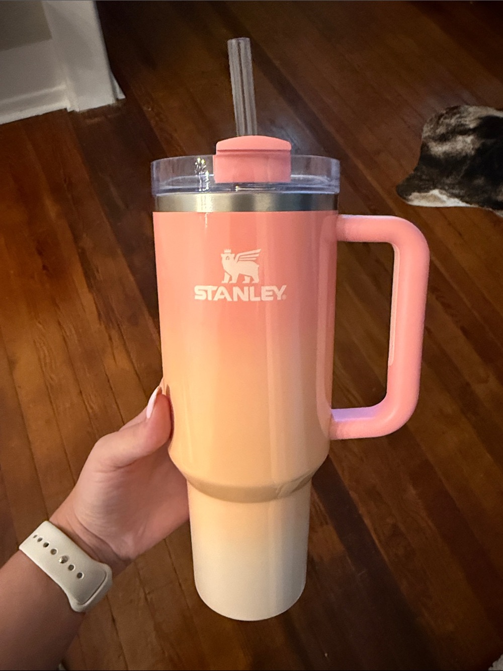 Stanley 40oz pink sunset